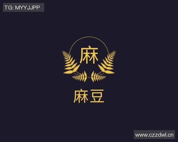 2021国产麻豆剧传媒在线-2021国产麻豆剧传媒在线，新剧的主题和人物探讨